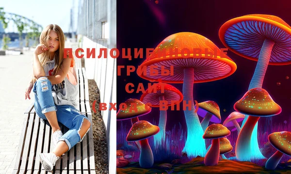 героин Новозыбков