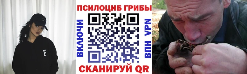 Галлюциногенные грибы Psilocybine cubensis сколько стоит Семикаракорск