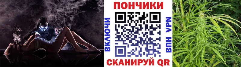 Бошки Шишки тримм  купить наркотик  Семикаракорск 
